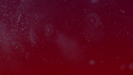 animación de puntos blancos en movimiento sobre fondo rojo