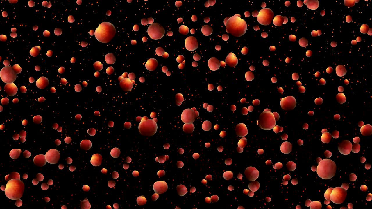 복아는 검은 바탕에 회전하고 떨어집니다.