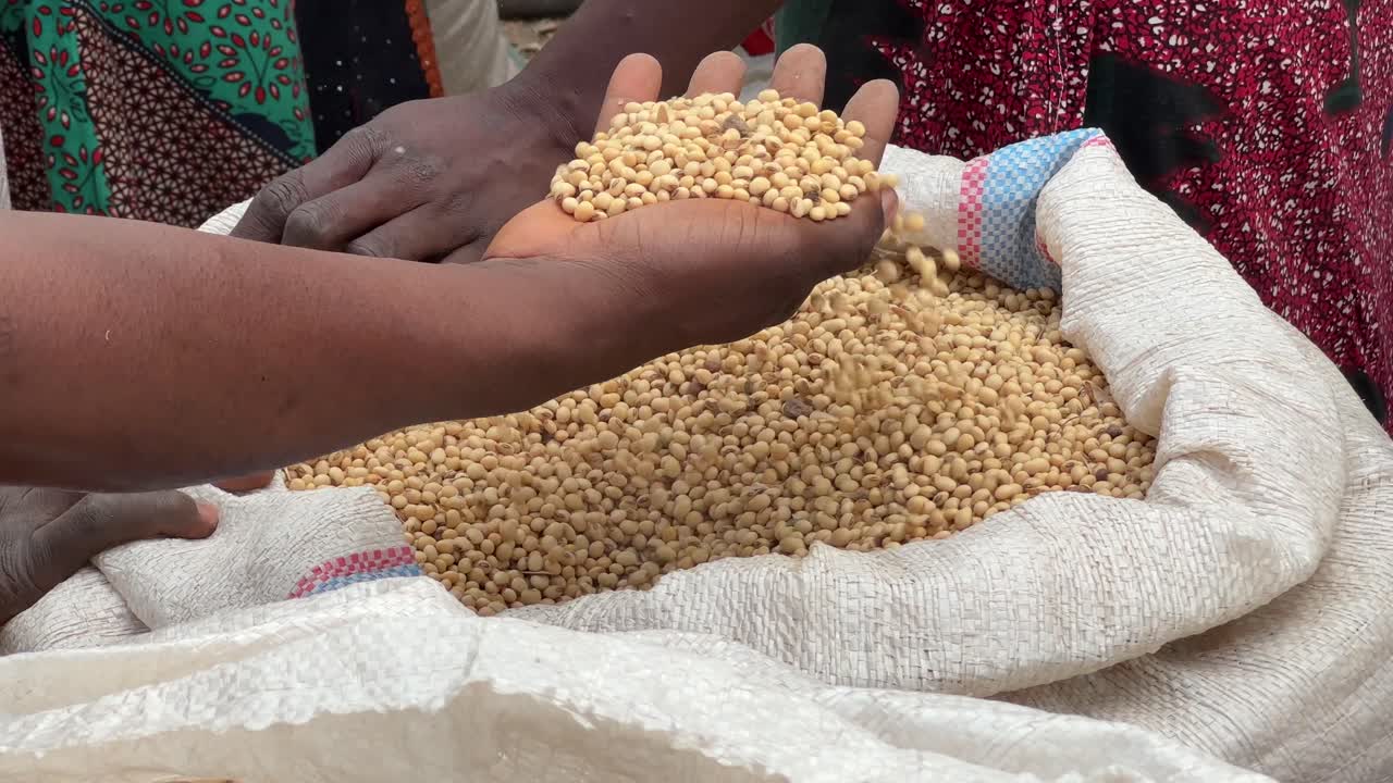 Soya beans are a powerful source of protein, vitamins, and minerals providing essential nutrition and energy for a healthy and balanced lifestyle