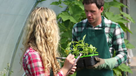 joven jardinero mostrando plantas al comprador