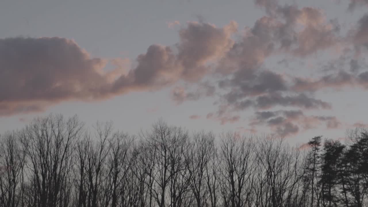 Timelapse of clouds moving over treeline at sunset.