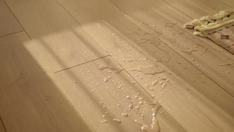 water spills on wooden floor with rug