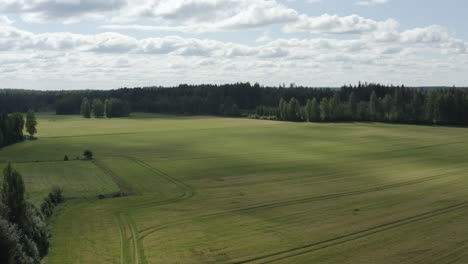 Grüne-Wiesen-Und-Felder-Umgeben-Von-Wald