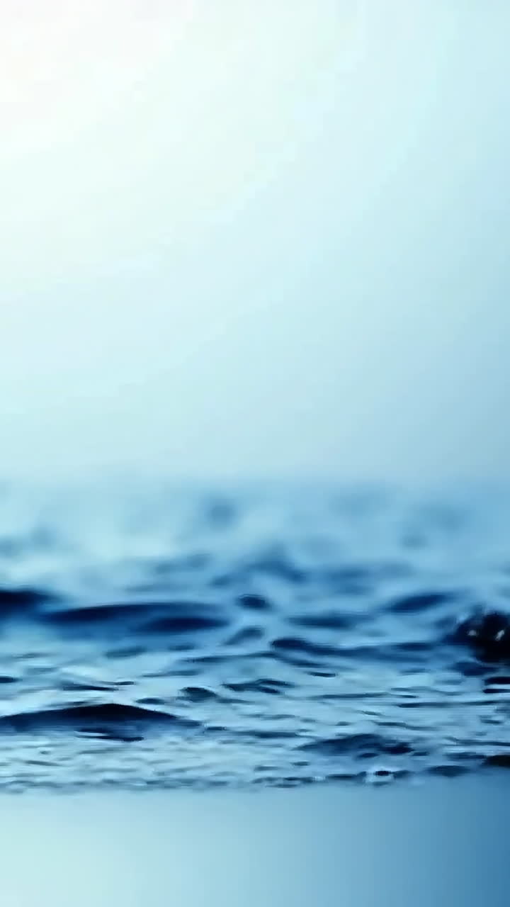 Dawn's calm waters reflect light. Gentle ripples move across the surface of the water as the early morning light begins to rise in the background.