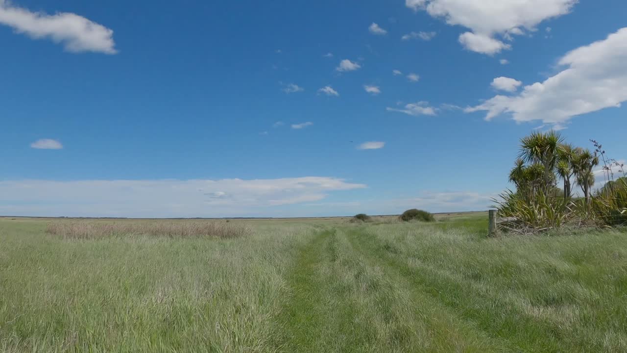 POV off-road cycling on lush green grass following vehicle tracks on a beautiful summer's day - Greenpark Huts, Canterbury (New Zealand)