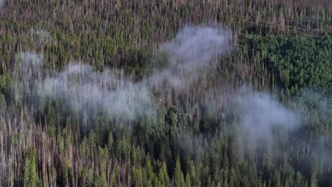 Compresión-De-Teleobjetivo-De-Una-Niebla-Atmosférica-Que-Se-Cierne-Sobre-Un-Bosque-De-Pinos-Verdes-En-Colorado-A-Medio-Día-Bandeja-De-Transporte-Aéreo