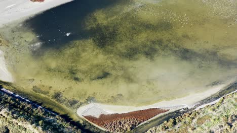 Large-view-of-Mudflat-in-The-Natural-Reserve-Of-Lilleau-Des-Niges-On-The-Ile-De-Ré-Island,-Aerial-View