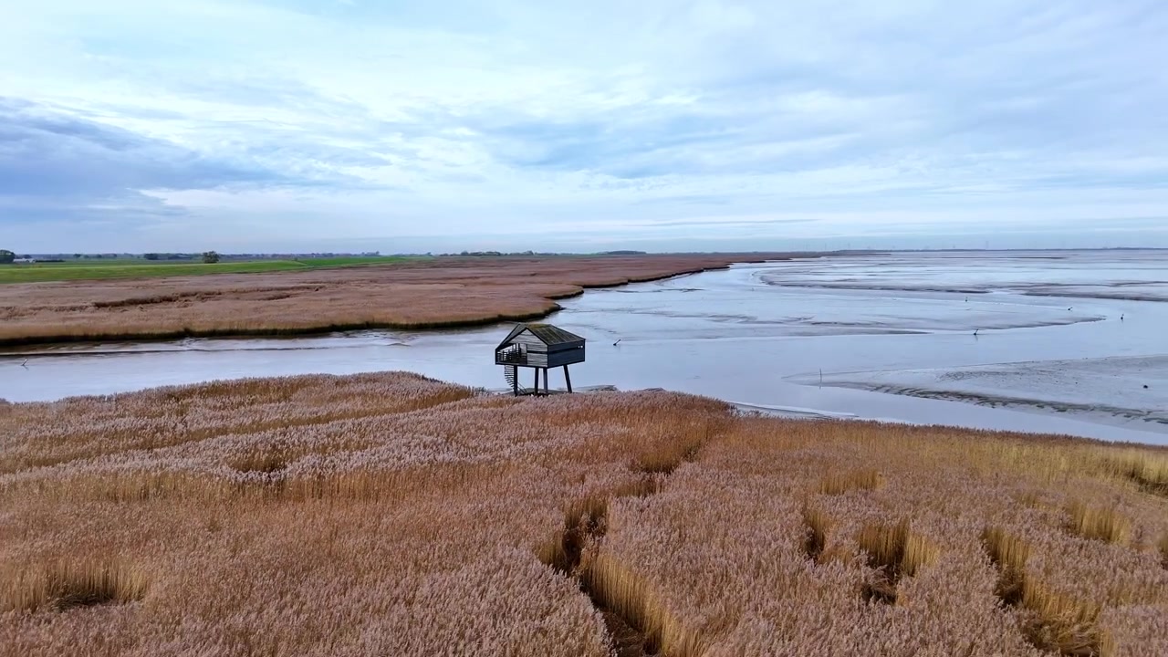 Droneoptagelser, der nærmer sig fuglekiggertårnet De Kiekkaaste over tidevandsmarsker og vadehav i Dollard naturreservat under en overskyet himmel. Sted: Drieborg, Holland