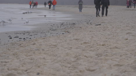 Nicht-Wiederzuerkennende-Touristen,-Die-An-Einem-Düsteren-Wintertag-Am-Redlowo-Strand-In-Gdynia-Spazieren-Gehen,-Wenn-Ein-Schwarm-Möwen-Auf-Nassem-Sand-Spazieren-Geht