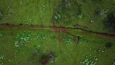 Vista-De-Arriba-Hacia-Abajo-De-La-Gente-Caminando-En-El-Paisaje-Escénico,-Escalando-El-Monte-Elgon-En-Kenia---Disparo-De-Drones