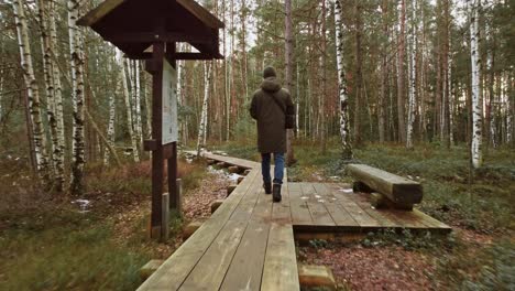 Rear-view-of-man-walk-on-narrow-boardwalk-in-Swamp-wetland-forest,-aerial