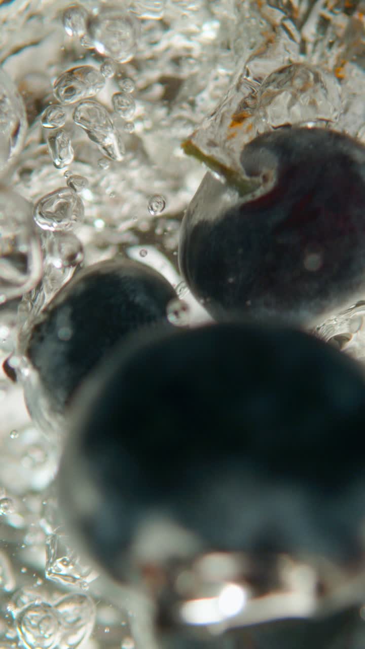 물에 넣은 블루베리