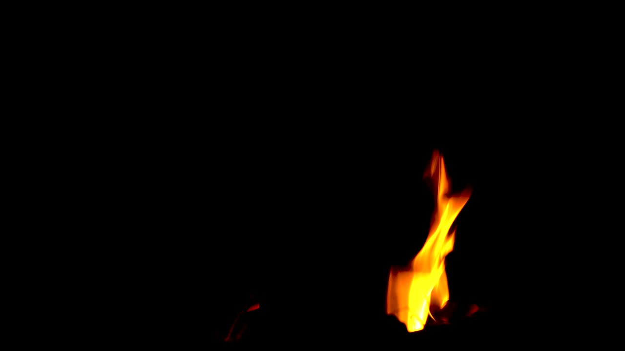 Real fire ignite on a black background.