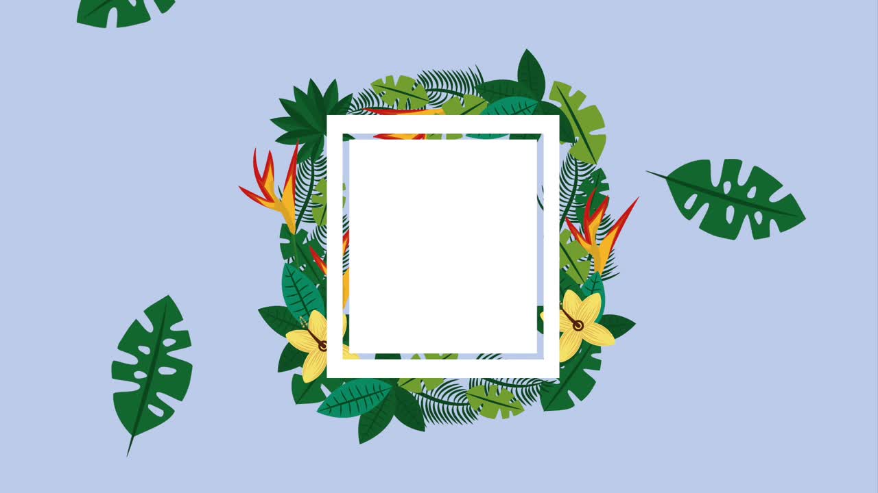 夏の熱帯のテンプレート