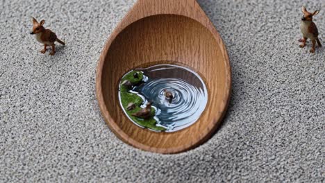 miniature ecosystem in a wooden spoon