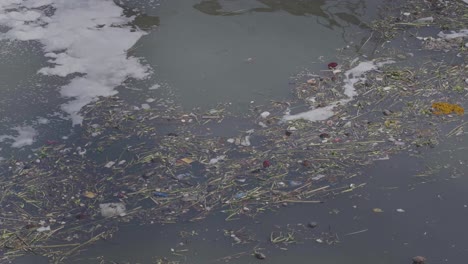 Garbage-in-Yamuna-river-Delhi
