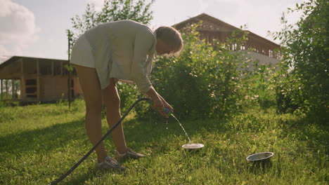 woman pouring water into metal plate using hose in grassy area under natural sunlight, second empty plate nearby, with lush greenery and building in background