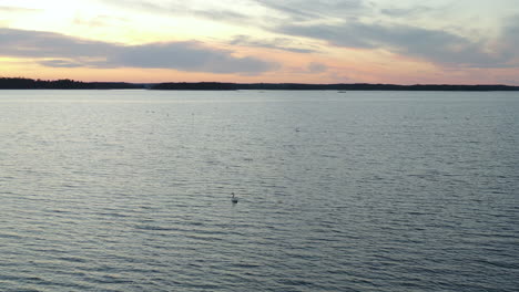 Aerial-view-of-a-swan-on-Gulf-of-Finland,-silhoutte-coast-of-Porkkala-in-background,-on-a-sunny,-summer-evening,-in-Porkkalanniemi,-Uusimaa,-Suomi---dolly,-drone-shot