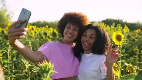 Frauen-In-Einem-Sonnenblumenfeld