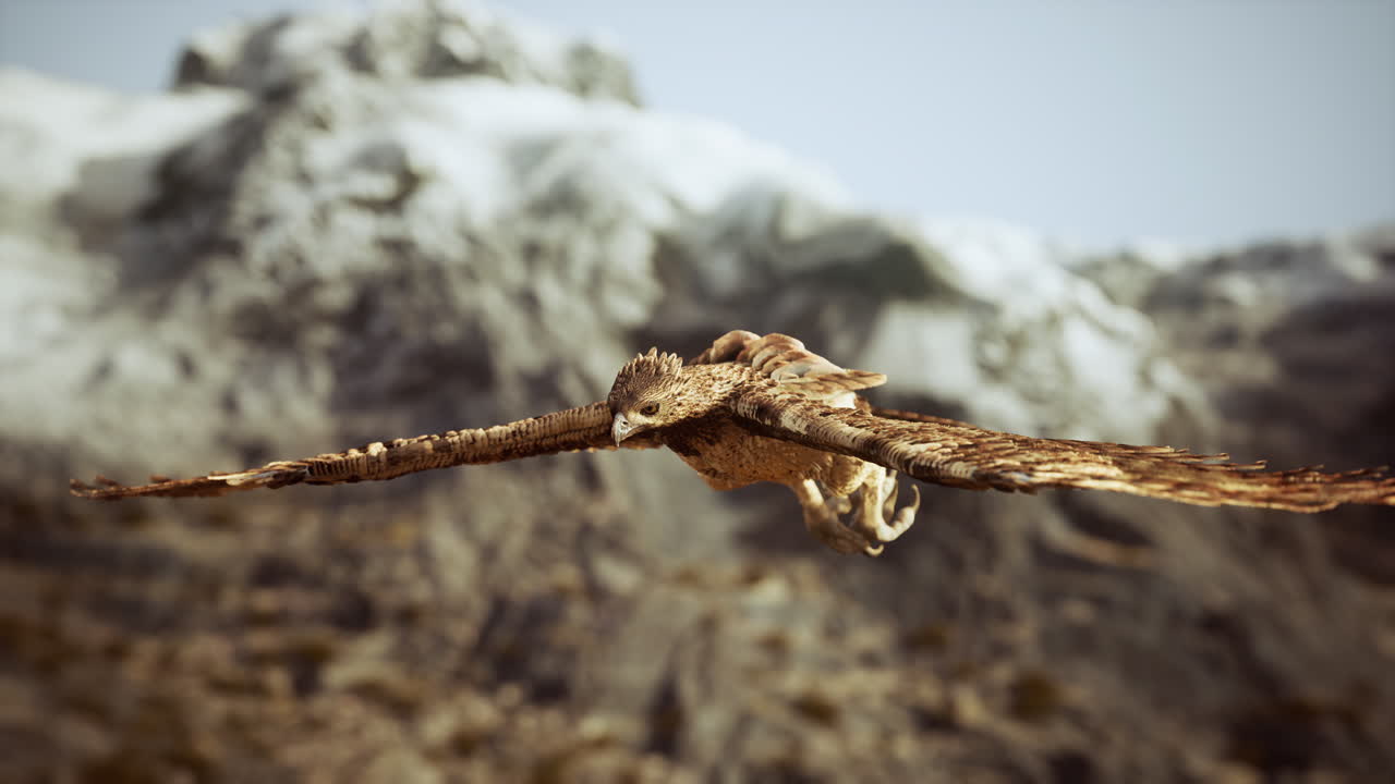 disparo en cámara lenta extrema del águila