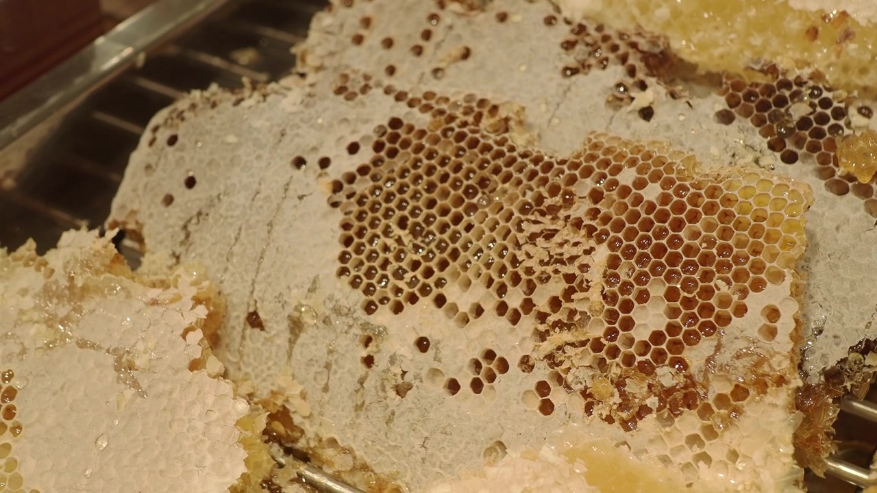 Close-up of Golden Honey Dripping from Natural Honeycomb