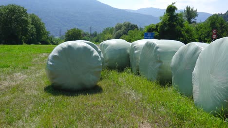 hay balls packed with plastic bags