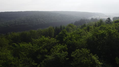 Filmisches-4K-Luftbild-Einer-Drohne,-Die-Das-Morgenlicht-über-Den-Baumwipfeln-Eines-Dichten-Waldes-In-Weibersbrunn,-Deutschland,-Einfängt