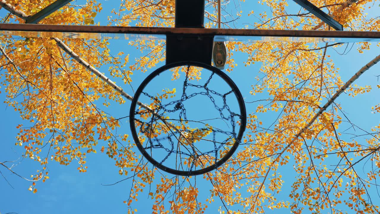 농구공이 바구니로 날아갑니다.