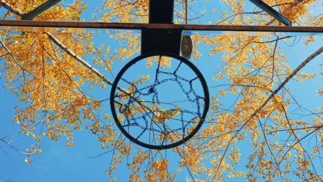 a basketball ball flies into the basket.