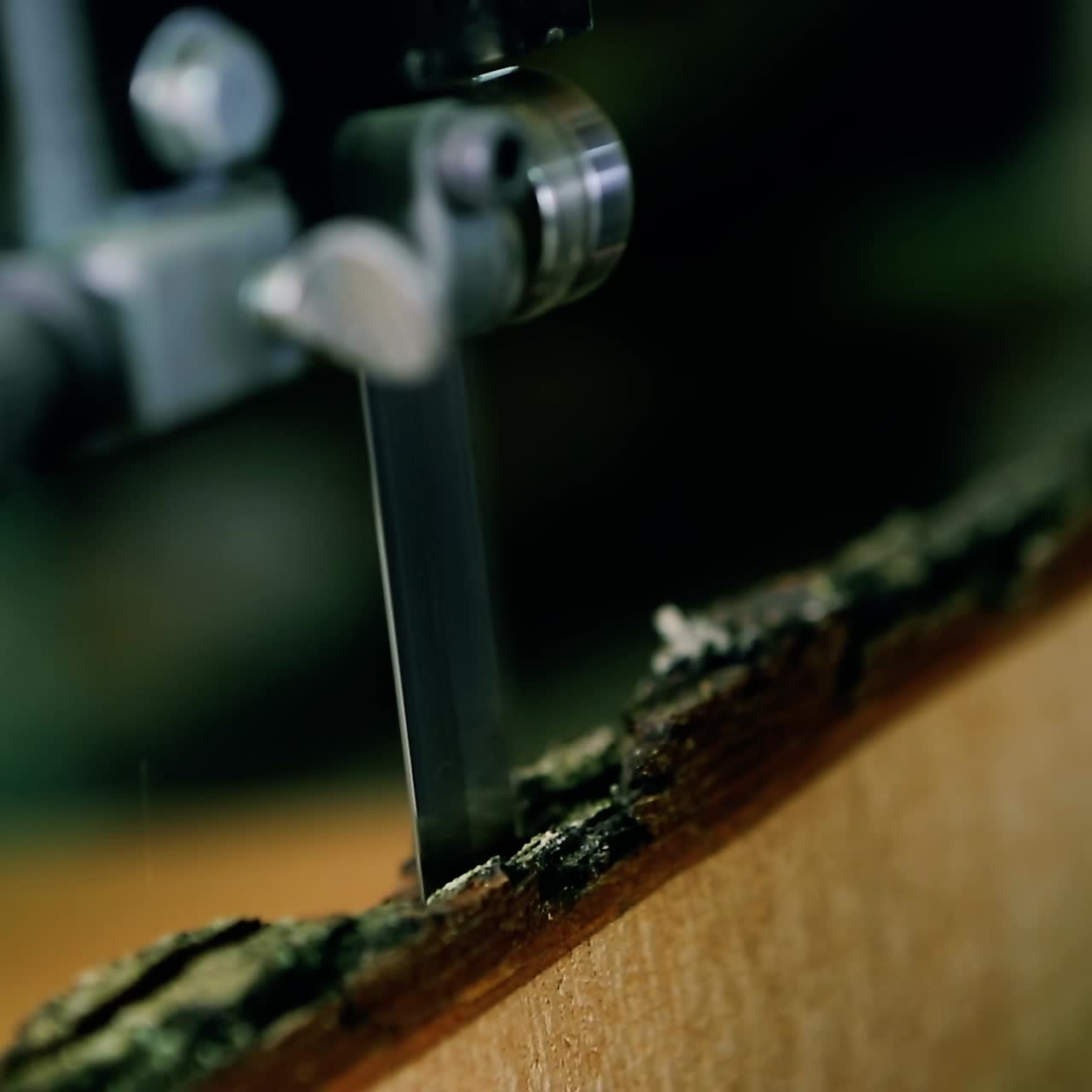 Man Cutting Wood Plank