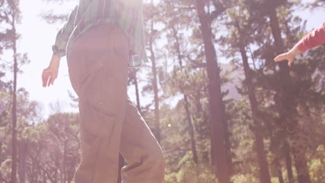couple is walking in the forest