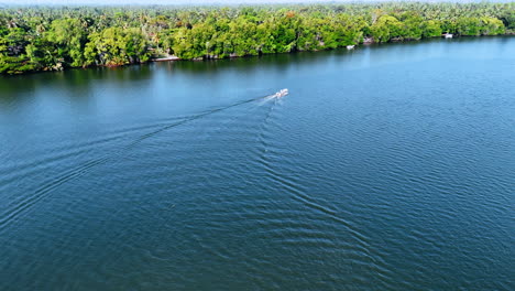 lonely boat moves by the river on sunny day. lush greenery growing at the waterfront. aerial perspective.