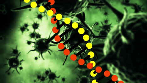 animación de la cadena de adn que gira sobre las células verdes de covid 19, en verde