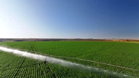 aerial view of agricultural field with irrigation system