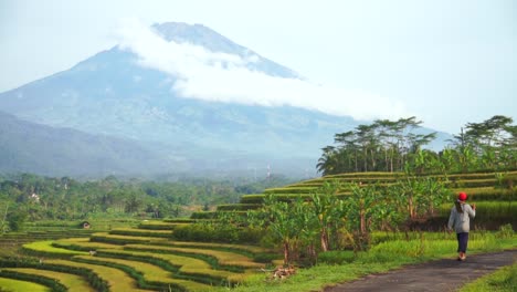 Slow-motion---A-farmer-bring-hoe-is-walking-to-plantation-with-beautiful-view-of-terraced-rice-field-and-huge-mountain