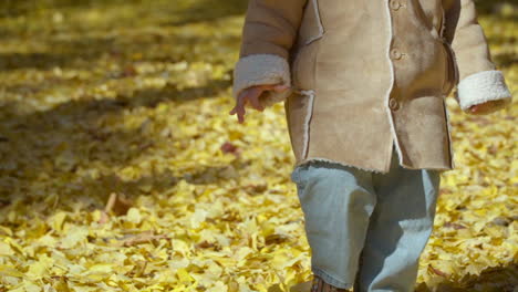 Little-Girl-Walking-on-Yellow-Fallen-Leaves-in-Autumn-Park-Looking-Down---Crane-up-slow-motion