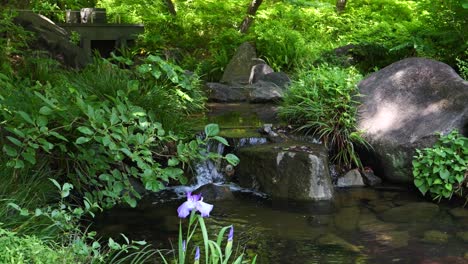 Hermoso-Parque-Público-Con-Un-Río-Que-Fluye-Lentamente