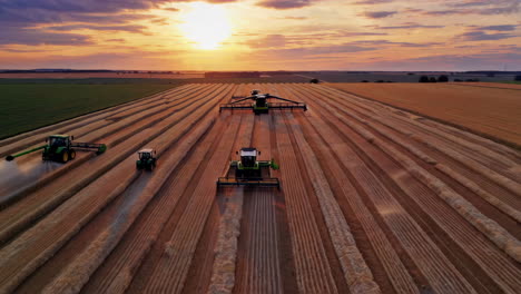 harvesting wheat field at sunset