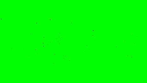 black ravens flock flight from right to left of screen chroma key footage green screen loop seamless