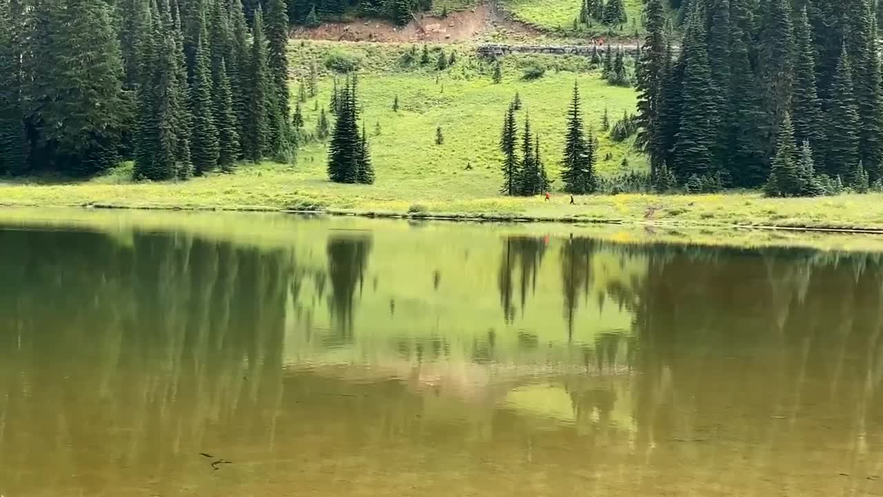 Boys running and frolicking around Tipsoo Lake in Mt