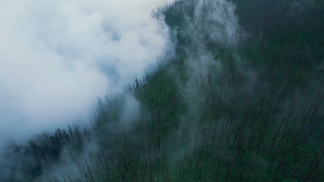 circular drone shots of nepal landscape in monsoon season. foggy forest, naked trees with clouds, gloomy mood, horror and mysterious vibe 4k