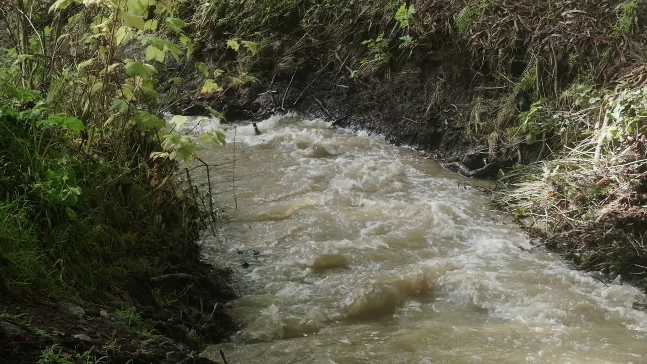 la escorrentía de agua de lluvia corre por un pequeño arroyo