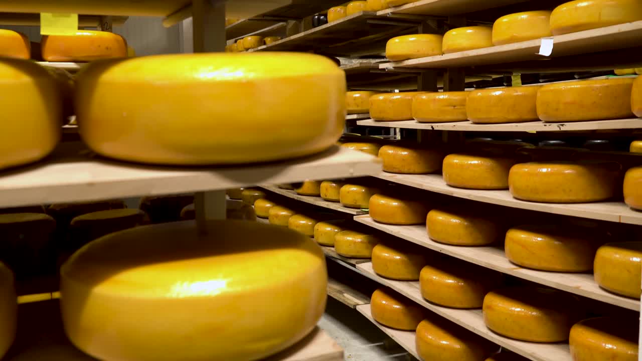 Cheese on shelves of the storage chamber. CLOSE UP