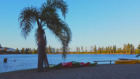 Palmera-Disfruta-Del-Viento-Fresco-De-La-Puesta-De-Sol-Junto-Al-Kayak