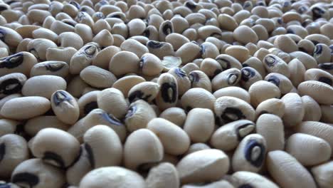 Black-Eyed-Peas-Rotating-Background