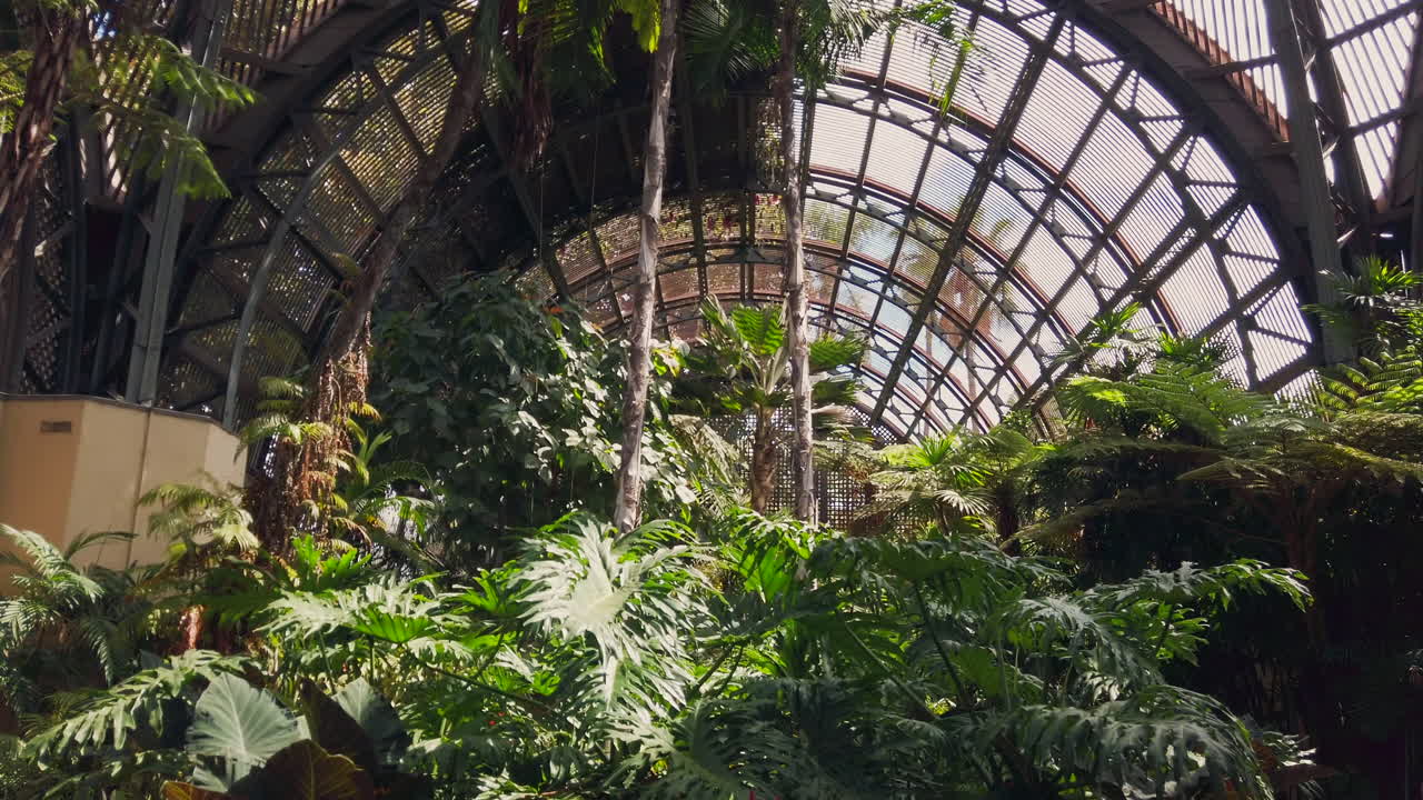 Lush tropical plants inside the historic Botanical Building in Balboa Park, San Diego