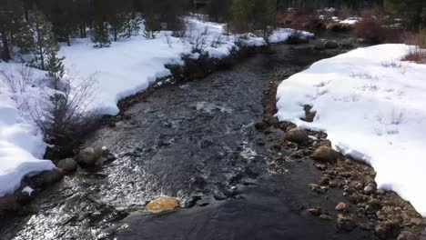 Pequeño-Arroyo-Con-Nieve-Fresca-En-Las-Orillas-Y-árboles-En-El-Fondo