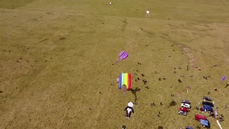 toma aérea de arriba hacia abajo que muestra coloridas cometas voladoras durante un día ventoso sobre el campo de hierba