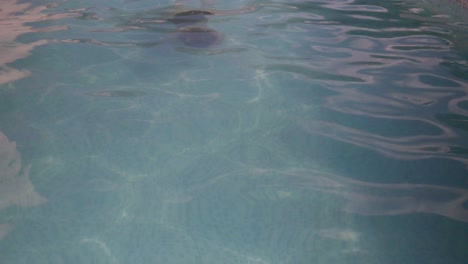 una joven nada bajo el agua hacia la cámara dentro de una piscina al aire libre