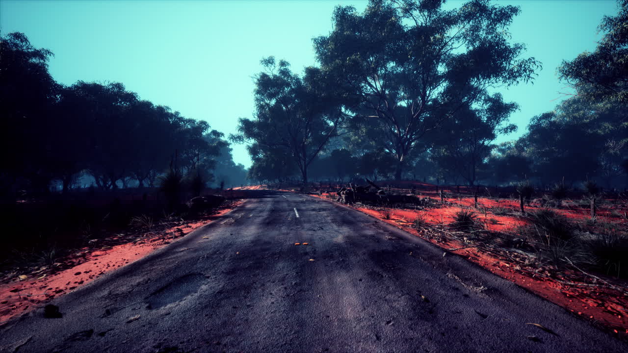 Strada nella giungla nel Parco Baluran in Indonesia.